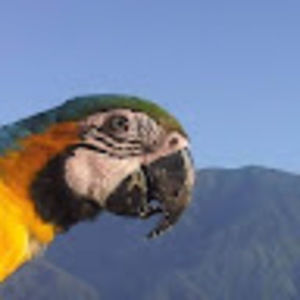 Meet your Posher, Ingrid